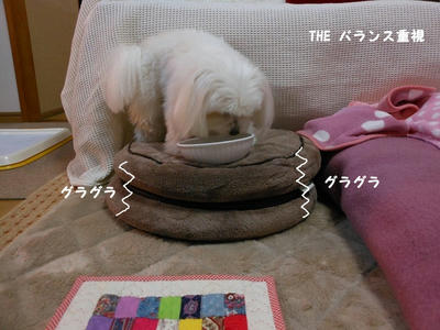 DSCN1207.jpg