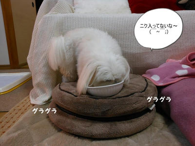 DSCN1212.jpg