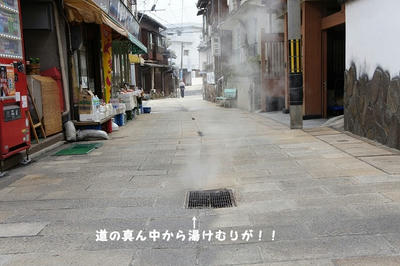 DSC01812.jpg