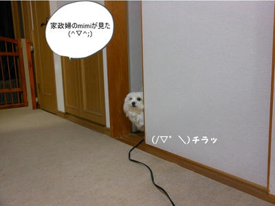 DSCN1287.jpg
