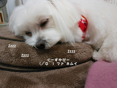DSCN1293.jpg