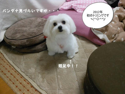 DSCN1298.jpg