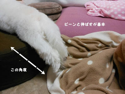 DSCN1304.jpg