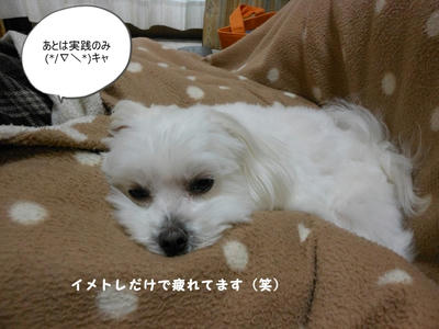 DSCN1316.jpg