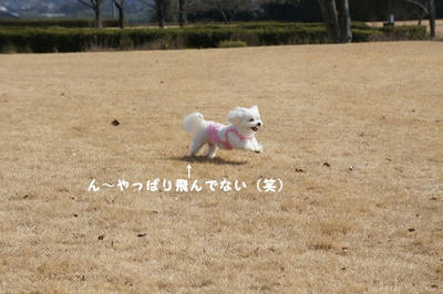 DSC01966.jpg