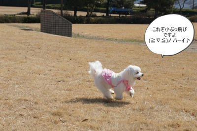 DSC01967.jpg