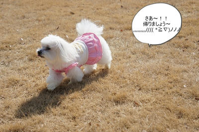 DSC01977.jpg