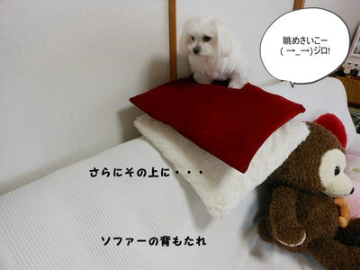 DSCN1372.jpg