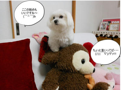 DSCN1385.jpg