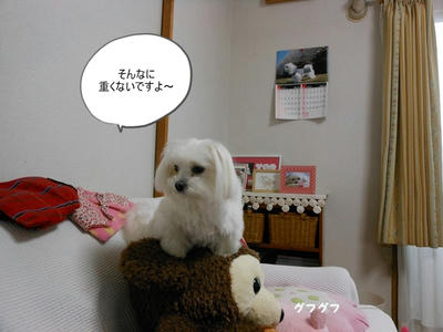 DSCN1389.jpg