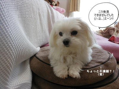 DSCN9575.jpg