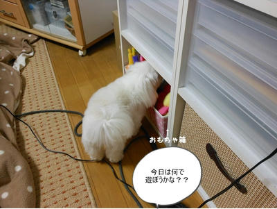 DSCN9569.jpg