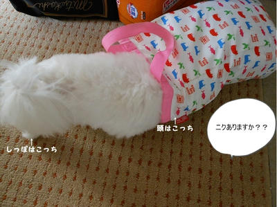 DSCN1366.jpg