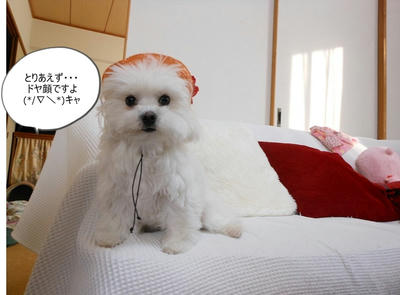DSCN9577.jpg