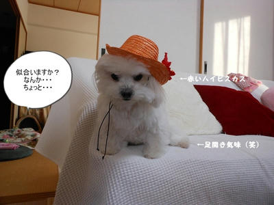 DSCN9582.jpg