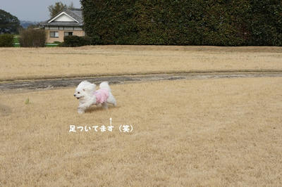 DSC01997.jpg