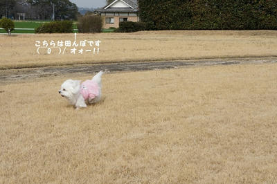 DSC01998.jpg