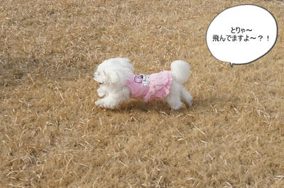 DSC02004.jpg