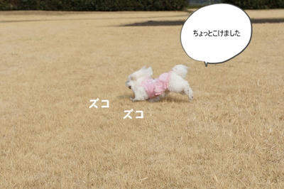 DSC02022.jpg