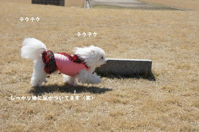DSC02100.jpg