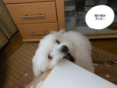 DSCN9619.jpg