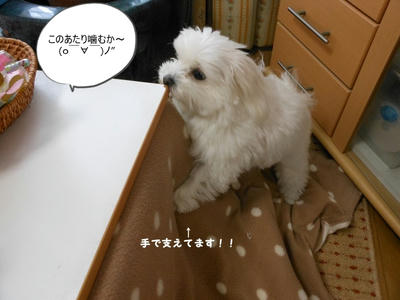 DSCN9621.jpg