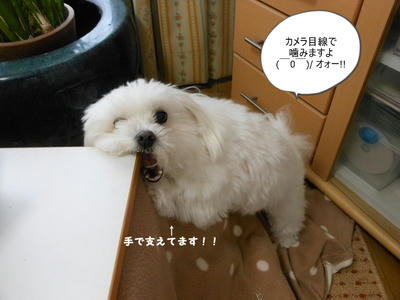 DSCN9624.jpg