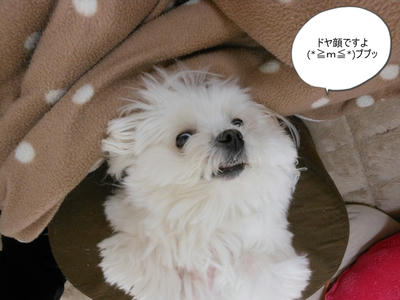 DSCN9602.jpg