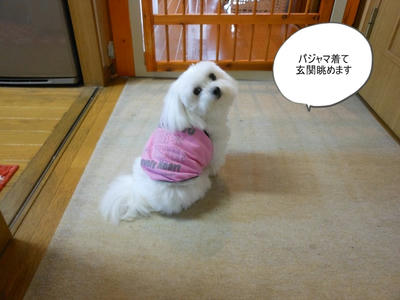 DSCN9608.jpg