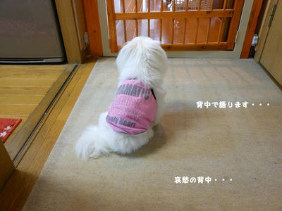 DSCN9609.jpg