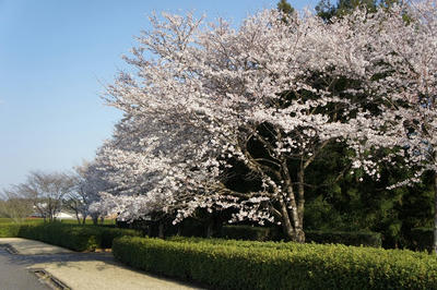 DSC02170.jpg