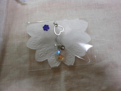 DSCN9660.jpg
