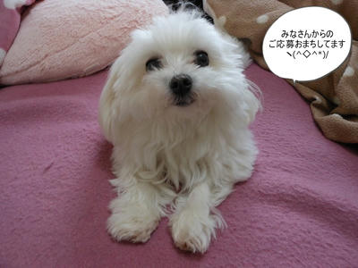 DSCN9652.jpg