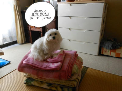 DSCN9641.jpg
