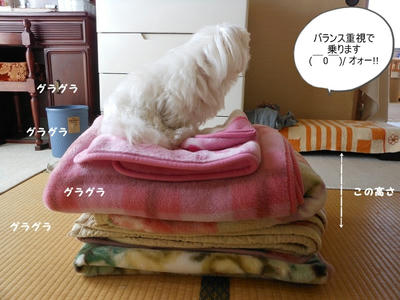 DSCN9645.jpg