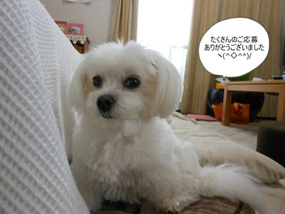 DSCN9716.jpg