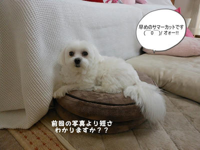DSCN9722.jpg