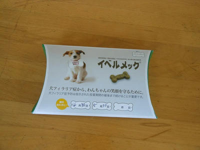 DSCN9729.jpg