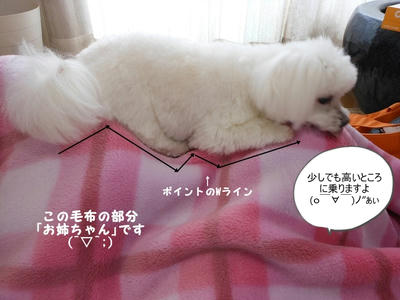 DSCN9710.jpg