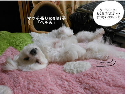 DSCN9746.jpg
