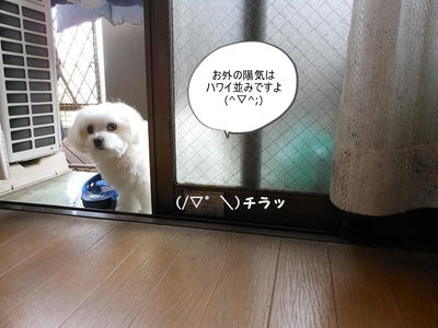 DSCN9764.jpg