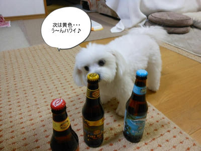 DSCN9773.jpg