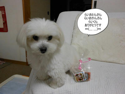 DSCN9807.jpg