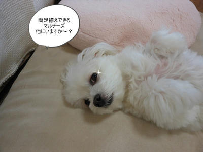 DSCN9814.jpg