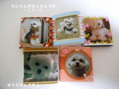 DSCN9820.jpg