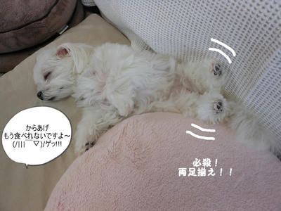 DSCN9809.jpg