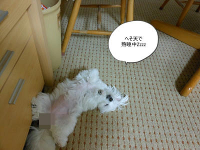 DSCN9785.jpg