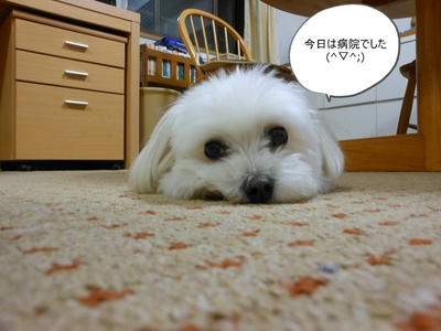 DSCN9902.jpg