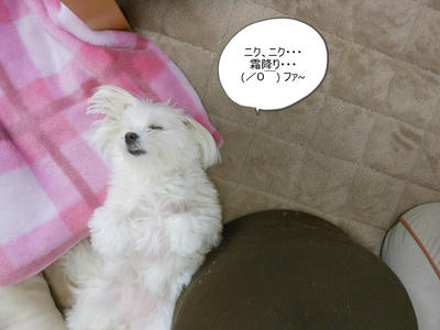 DSCN9951.jpg