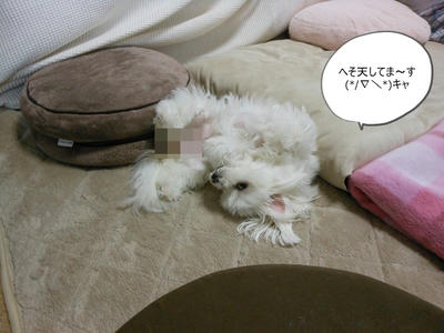 DSCN9940.jpg